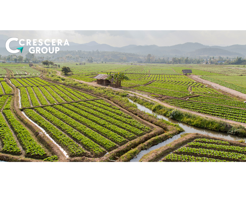 Land Law Maharashtra Mumbai